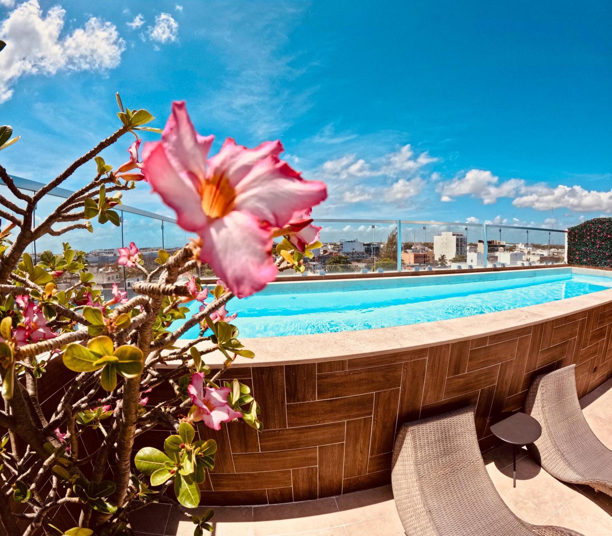 Studios With Roofpool In Vanessa 24 Playa del Carmen Extérieur photo